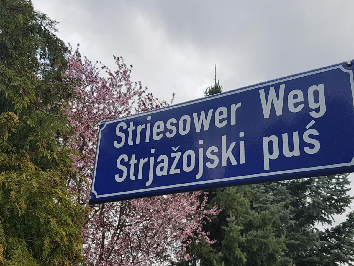 2 Raum Gartenwohnung Am Spreewaldradweg In Cottbus Exterior foto
